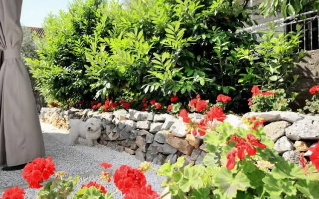 Apartments Branko