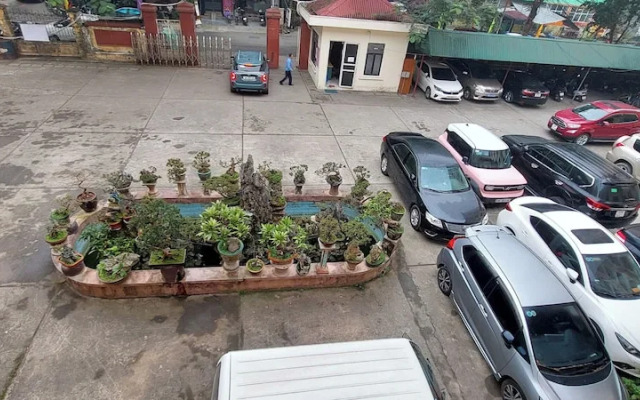 SVFU Ha Noi
