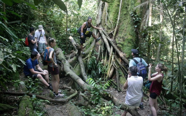 Indra Valley Inn Bukit Lawang