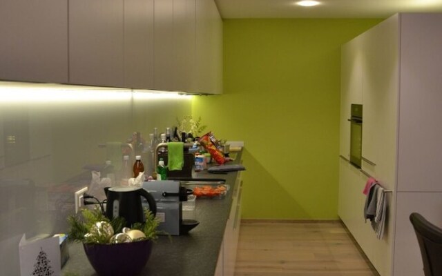 Ferienwohnung Panorama Lodge Scuol