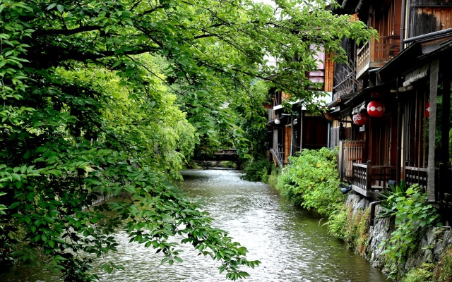 Tsumugi MatsubaraSakaimachi