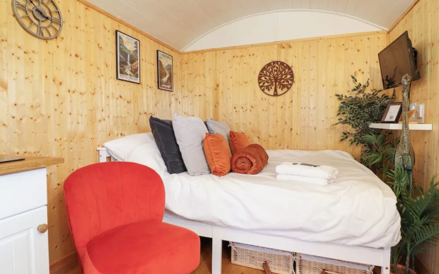 Red Kite at Wild Valley Huts