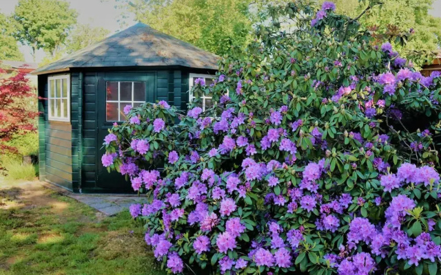 Quaint Holiday Home in Garderen With Fenced Garden