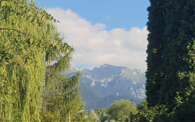 Casa Flavius