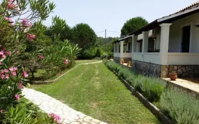 Lemontree Apartments