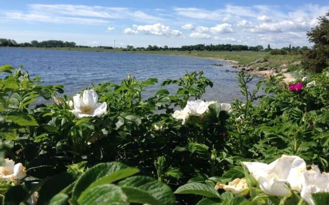 Schwedenhaus am Kai 14i