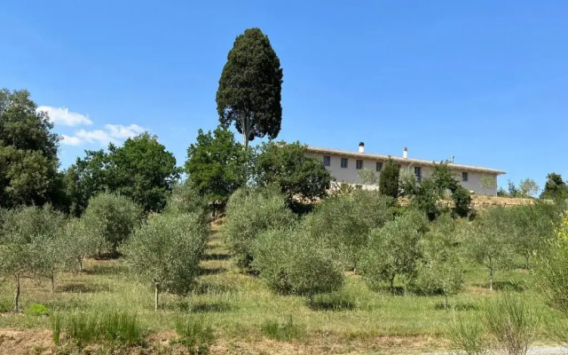 b&b Tenuta il Molino