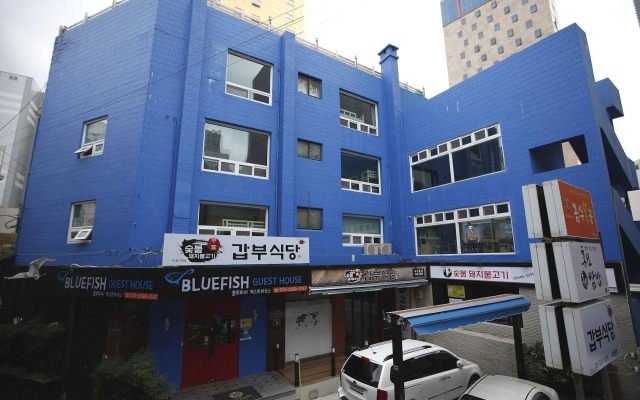 Bluefish Guesthouse - Hostel
