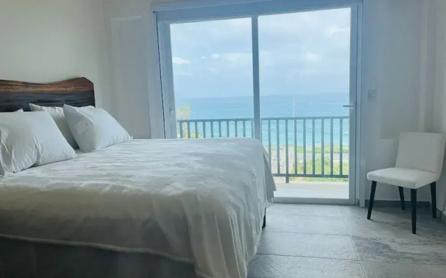 La Diosa Condos penthouse w plunge pool
