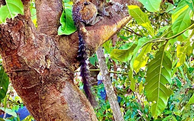 Sanctuary Pirenopolis Suites e Flats