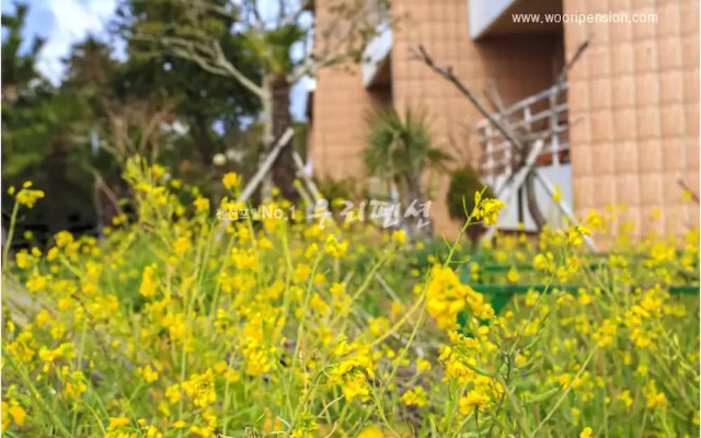 Dolhareubang Pension