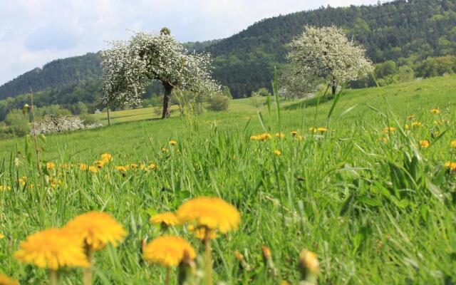 Ferienwohnung Drehwald
