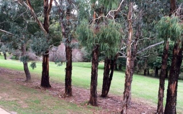 Lakeside Spa Studio Daylesford