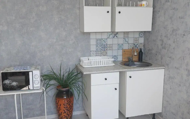 Apartments on Kalinina street 43 building 2