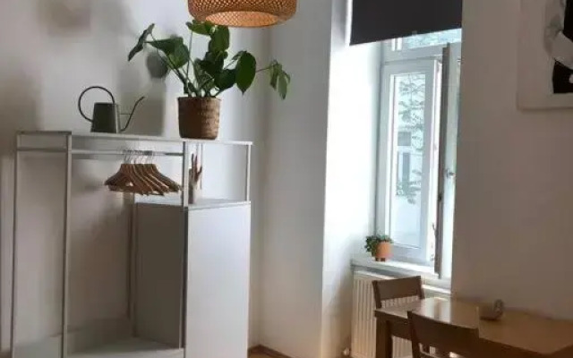 Neues, gemütliches Studio im Zentrum in Ruhelage