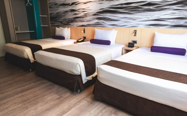 Palmetto Hotel Business San Borja