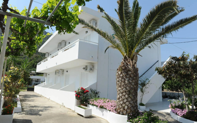 Spring Studios