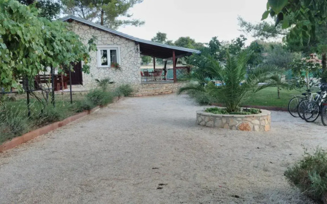 House Maslina