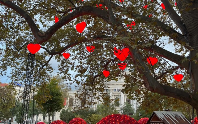 Stilvolles Apartment in toller Lage, "die Bunte"