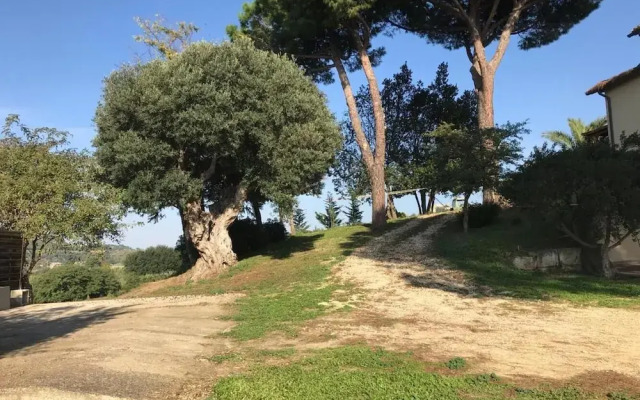 Agriturismo Il Poderino