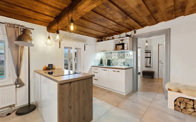 Villa in Dolni Branna Near Cross-country ski