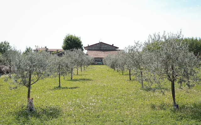 Villa Bongiovanni