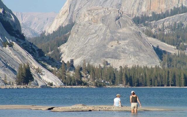 Yosemite Scenic Wonders - Wawona Area