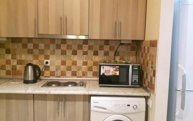 Apartment on Aleksandr Pushkin Street