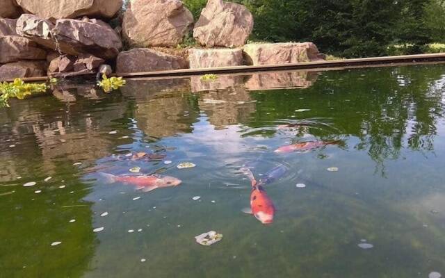 Les nuits insolites de la mothe tiny house