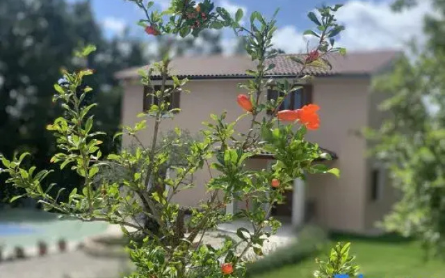 House Andrijasi