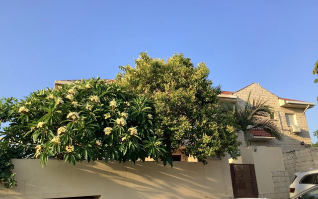 וילה נוף הרים שלומי