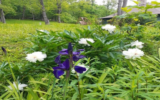 Laughing Heart Lodge