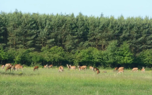 The Fischerhaus on Lake Malkwitzer See
