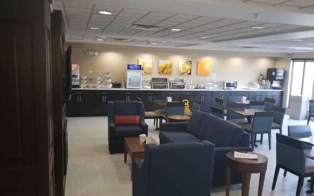Comfort Inn & Suites Decatur - Forsyth