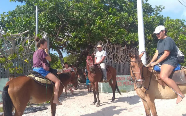 HOSPEDARIA PINGO de ouro