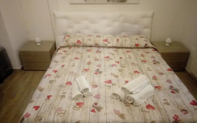 Lucy sweet Home