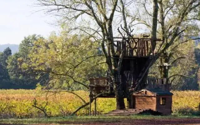 Chateau de Saint Martin