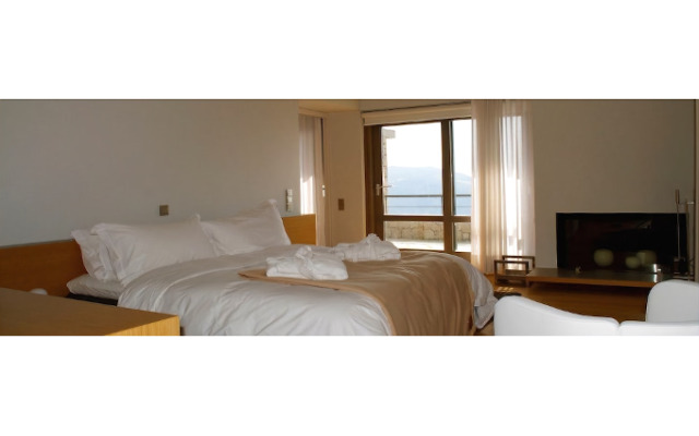 Elafivolia Arachova Suites