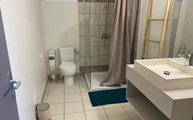 Vaste appartement rénové au cœur de STE ANNE