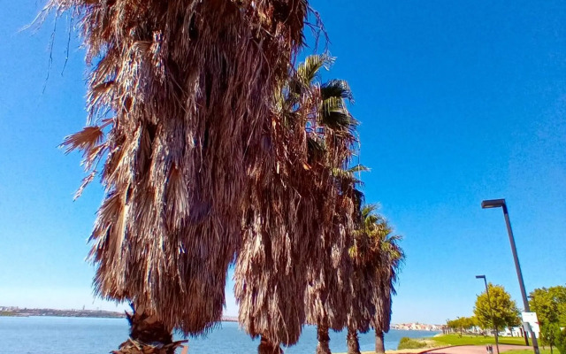 Oceanview Duplex shared Pool & Beach Sesimbra