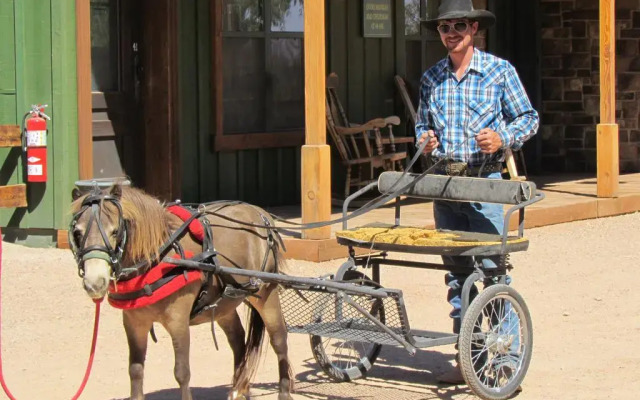 Tombstone Monument Guest Ranch