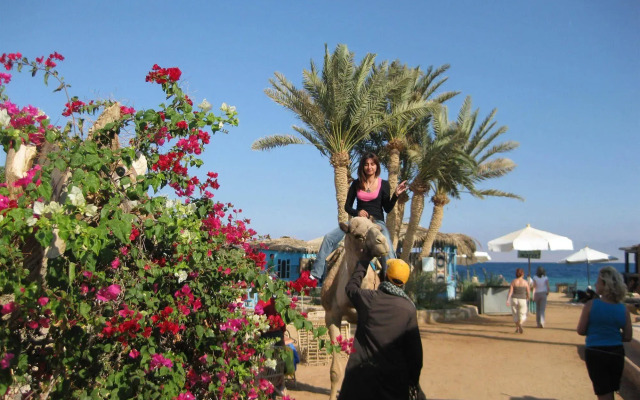 Habiba Beach Lodge