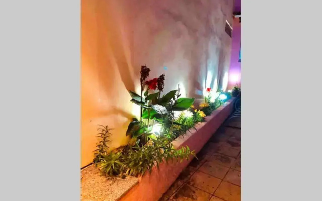 Ionian Stylish Apartment