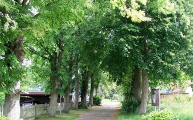 Ferienhaus Boddenruhe 120S