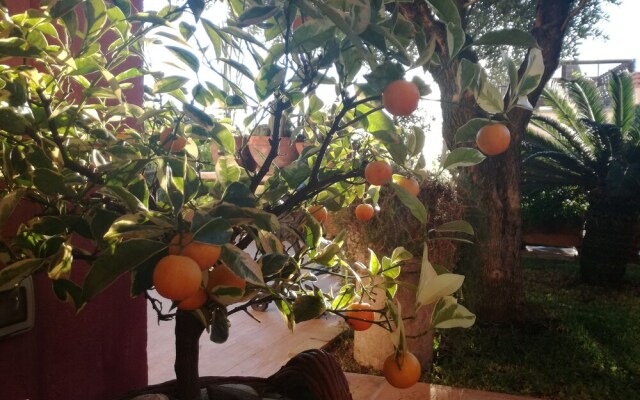 Garden Theater View House