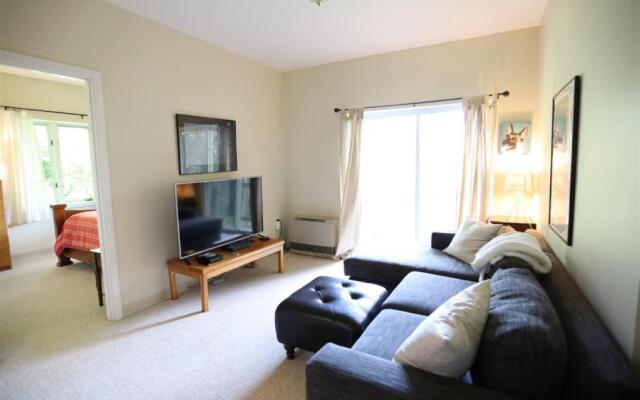 Weetamoo Trail 50, Waterville Estates