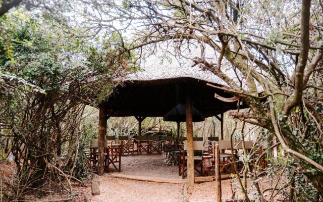 Woodbury Tented Camp - Amakhala Game Reserve