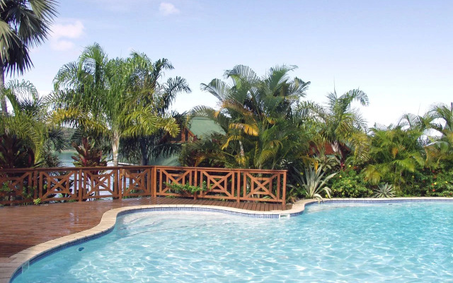 Jardin Des Palmes