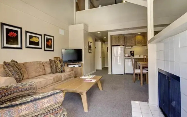 RedAwning Mountain Village #210