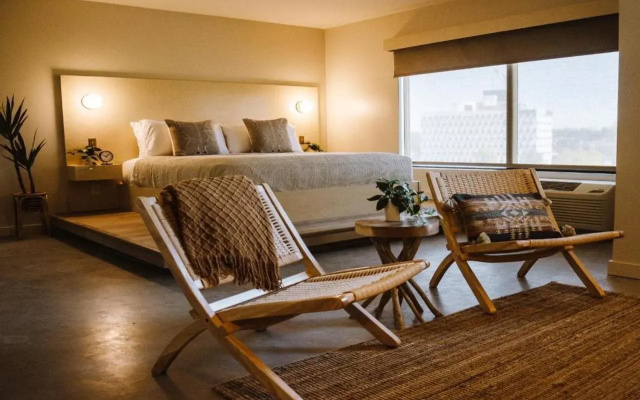 Brut Hotel